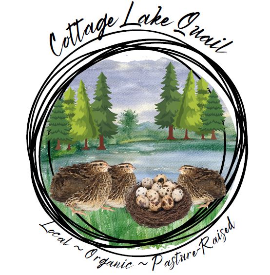 Cottage Lake Quail